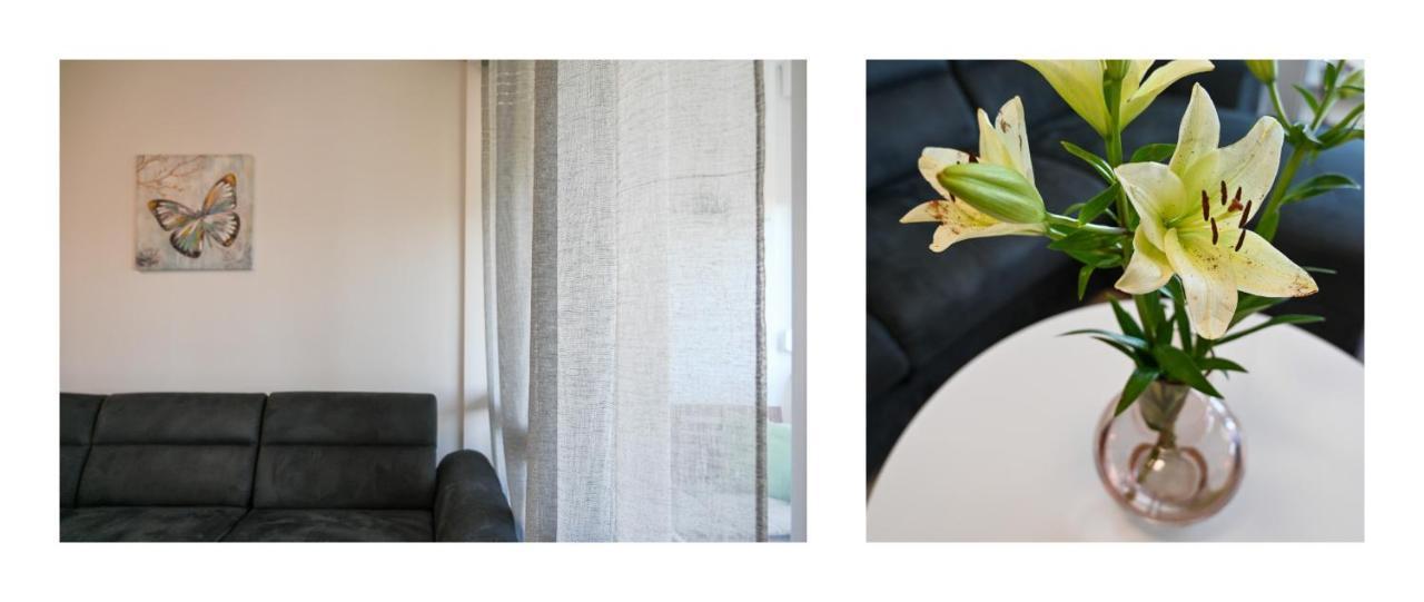 Apartman Armando ซาดาร์ ภายนอก รูปภาพ